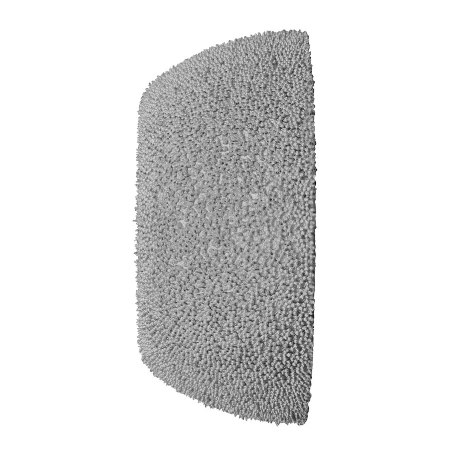 primary_image
